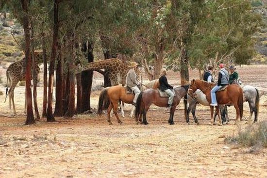 Overlanders horseback game ride