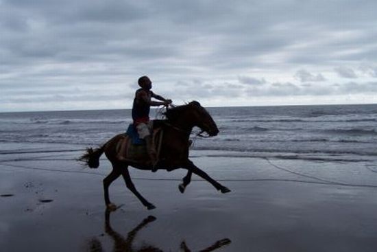 Horserider in Cameroon