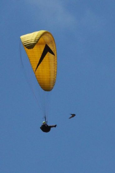 An Overlander Paragliding