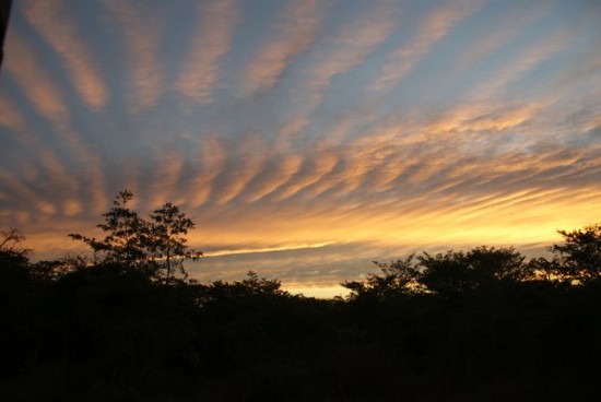 African_sky_by_Jojo_Ellensohn African_sky_by_Jojo_Ellensohn