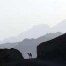 kingdoms-and-pharaohs-egypt-trip-adventure