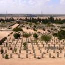 middle-east-caravan-trip-to-egypt