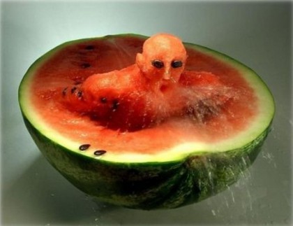 Watermelon swimmer Watermelon swimmer