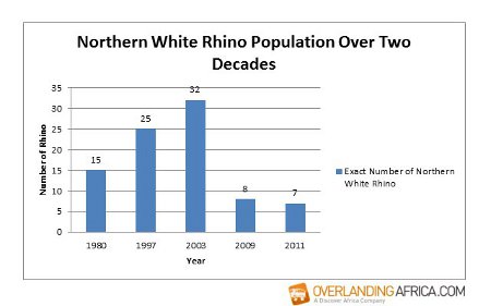 northern-white-rhino-population-graph