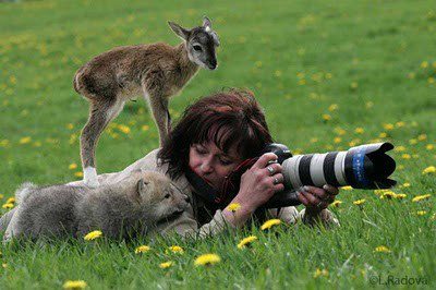 Top-10-Best-Wildlife-Photos7