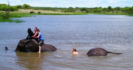 adventure-tour-elephant-swim