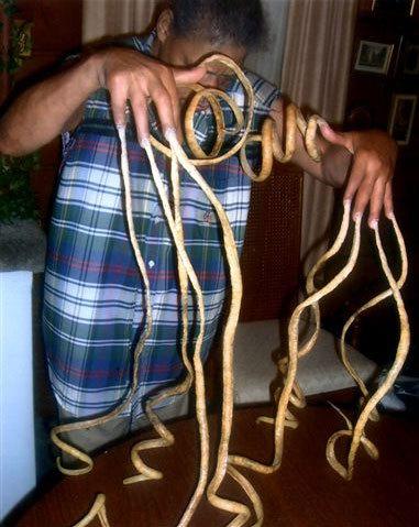 longest-fingernails