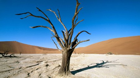 namib-naukluft-national-park namib-naukluft-national-park
