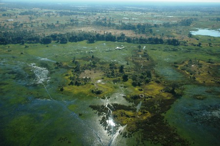 okavango-delta okavango-delta