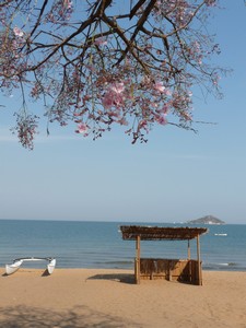 Tweedie09_LakeMalawi