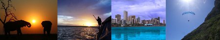 discounted_trips discounted_trips