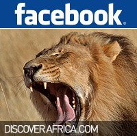 DA2_FB DA2_FB