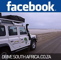 DSA2_FB DSA2_FB