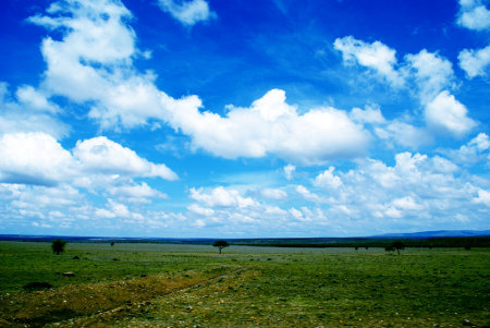 masai_mara_by_underdogg101-d399osi