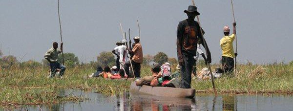 Okavango Delta to JHB is one of the best African safaris around