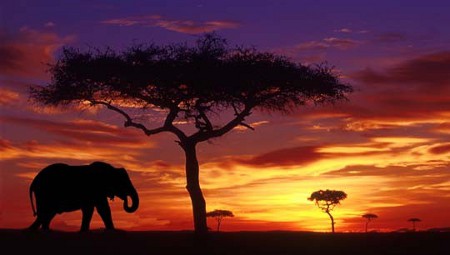 African_photography_sunset_photos (2)