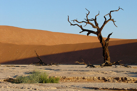 The_Namib_Desert_Namibias_ultimate_adventure_destinationdeadvlei