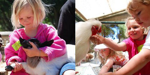 Blue Water Cafe is one of the best child friendly restaurants in Cape Town family_friendly_restaurants_cape_town_blue_water_cafe_neighbour