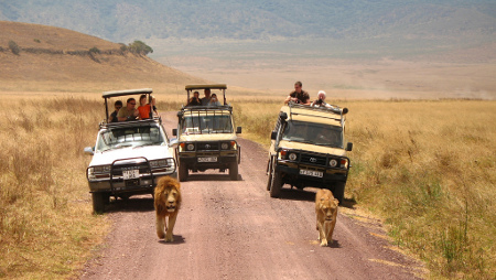 safari_in_tanzania_self-drive safari_in_tanzania_self-drive