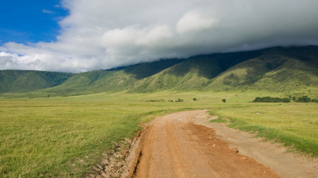 safari_in_tanzania_when_best_time safari_in_tanzania_when_best_time