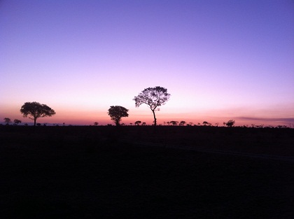 Central Africa Family Loop Tour in Photos Landscape