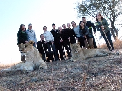 Central Africa Family Loop Tour in Photos Walk with Lions