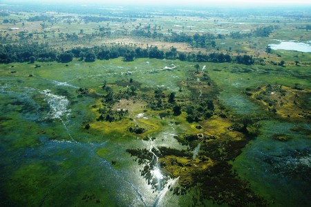 Okavango_Delta_Safari_Guide (2) Okavango_Delta_Safari_Guide (2)