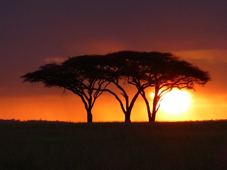 Best of South West Africa & Falls to Serengeti Tour in Photos_sunset