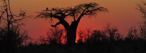 Swakopmund_to_Victoria_Falls (1) Swakopmund_to_Victoria_Falls (1)