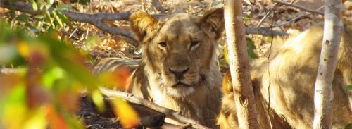 Swakopmund_to_Victoria_Falls (2) Swakopmund_to_Victoria_Falls (2)
