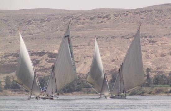 Feluccas tie together to sail faster back up the Nile Feluccas tie together to sail faster back up the Nile