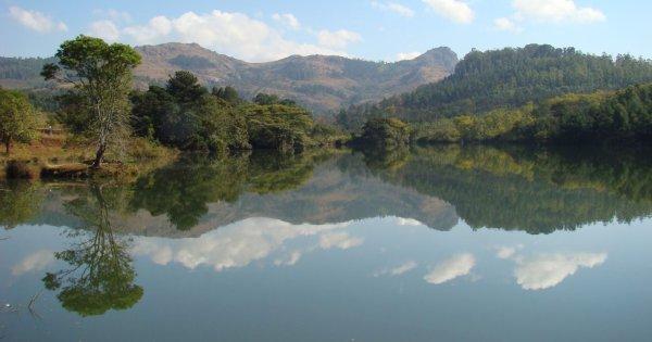 Hlane Royal National Park Umphakatsi Experience