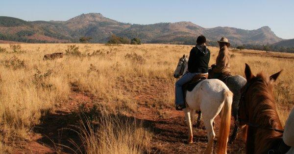 Mlilwane National Park Horse Riding