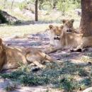 Hwange National Park